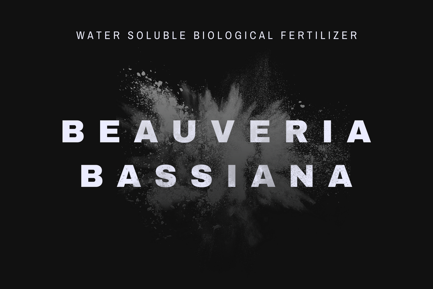 Beauveria bassiana  Biological Fertilizer